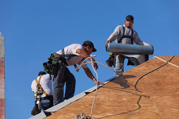 Quick and Trustworthy Emergency Roof Repair Services in Indianapolis, IN